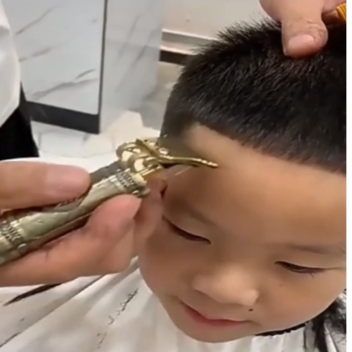 Maquinilla cortapelo - Dragón